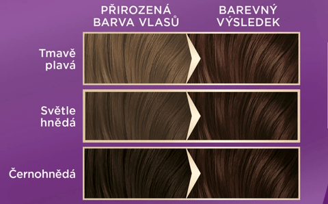 Palette Barva na vlasy Intensive Color Creme Tmavě čokoládový 3-65