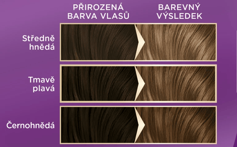 Palette Barva na vlasy Intensive Color Creme Jiskřivý nugát 7-65