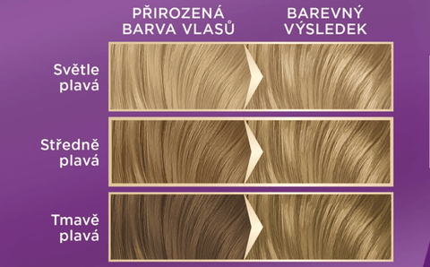 Palette Barva na vlasy Intensive Color Creme Světle plavý 8-0