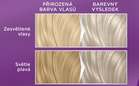 Palette Barva na vlasy Intensive Color Creme Stříbřitě plavý 9.5-1