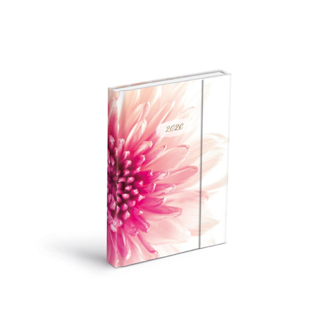 Diář 2026 D801 Lamino 2 s magnetem