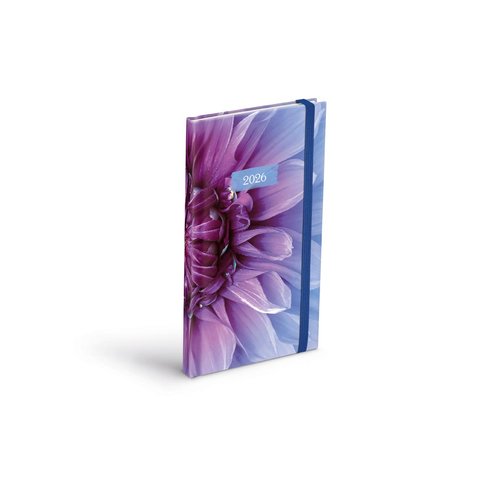 Diář 2026 T806 Lamino 1 s gumkou 90x170mm