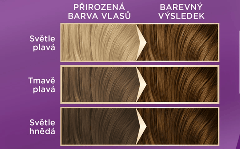 Palette Barva na vlasy Intensive Color Creme Nugát 6-65