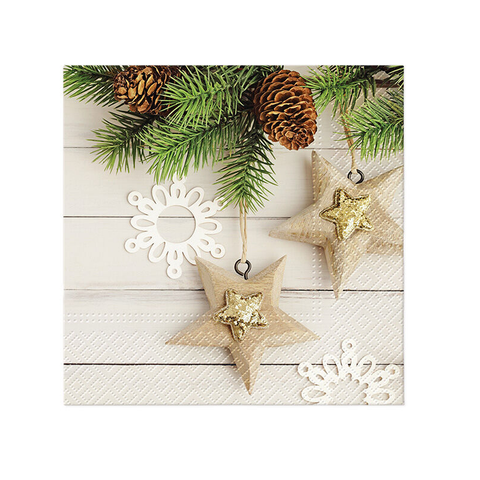 Ubrousky PAW TETE L Eco Stars, 20ks