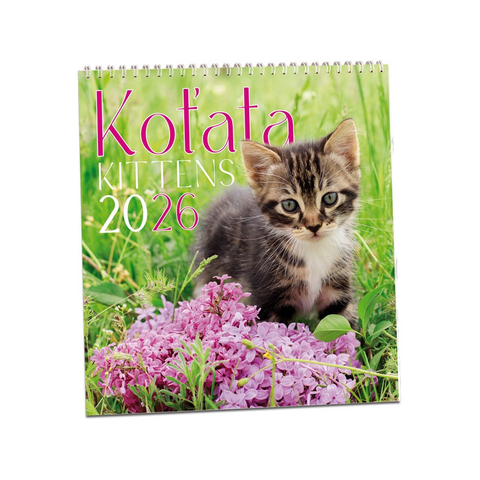 Kalendář Koťata 2026