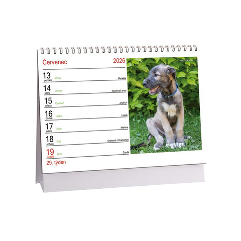 Kalendář Pes - věrný přítel 2026