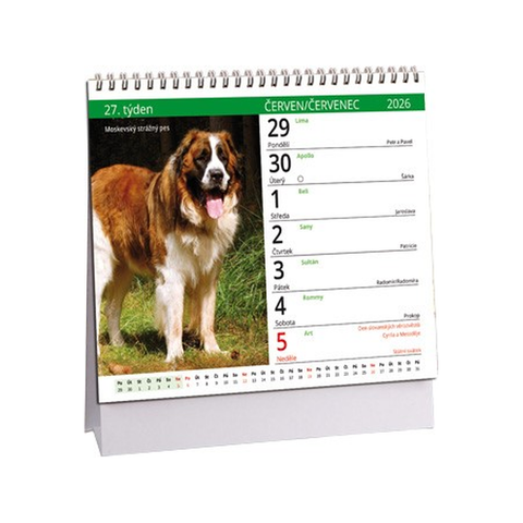 Kalendář Pes - věrný přítel mini 2026