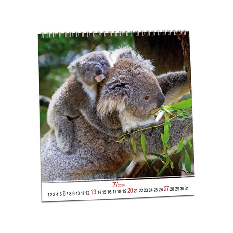 Kalendář Zvířata 2026