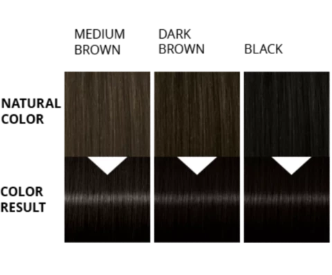 Palette Barva na vlasy Color Shampoo Černý 113 50ml