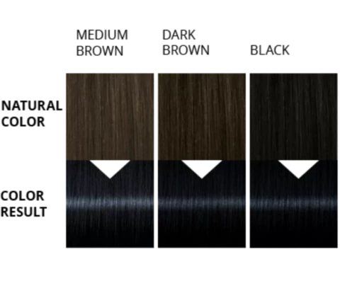 Palette Barva na vlasy Color Shampoo Modročerný 339 50ml