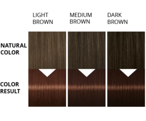 Palette Barva na vlasy Color Shampoo Čokoládově hnědý 244 50ml