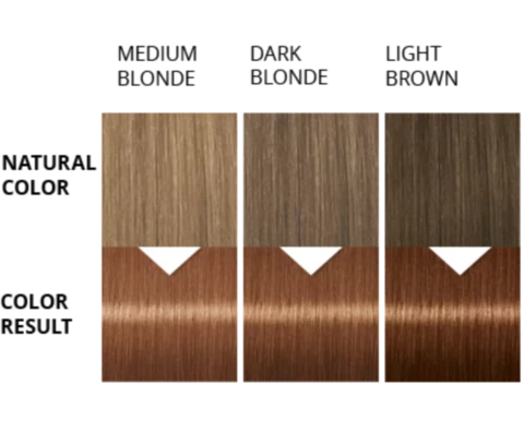 Palette Barva na vlasy Color Shampoo Oříškově plavý 317 50ml