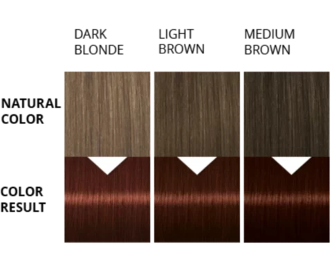 Palette Barva na vlasy Color Shampoo Kaštanový 236 50ml