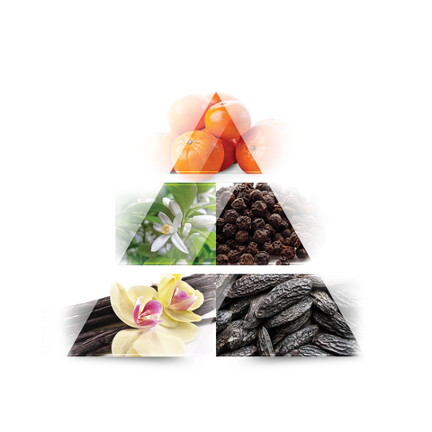 LA RIVE Absolute Sport Eau de Toilette 100ml