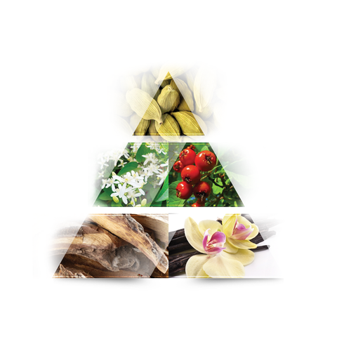 LA RIVE Cash for men Eau de Toilette 100ml