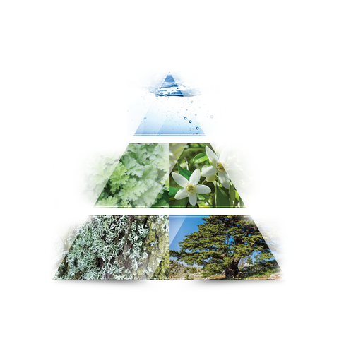 LA RIVE Distant wave Eau de Toilette 100ml