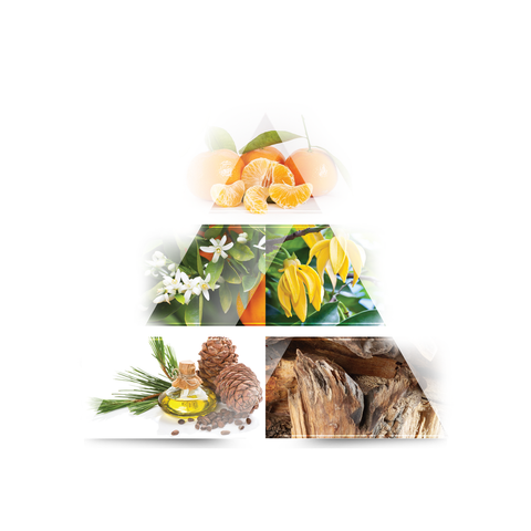 LA RIVE Elixir Eau de Parfum 100ml