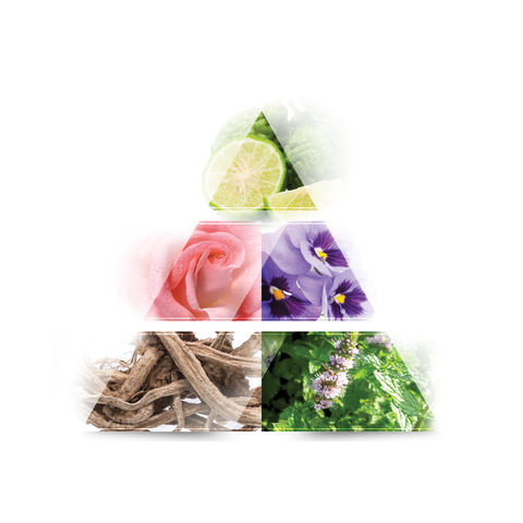 LA RIVE Extreme story Eau de Toilette 75ml