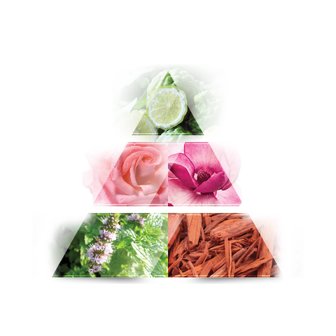 LA RIVE Look of woman Eau de Parfum 75ml